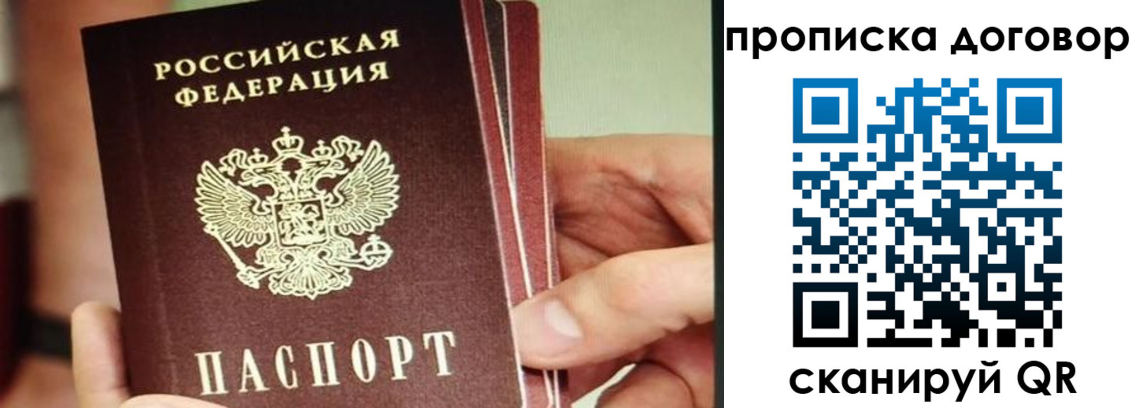прописка в Вольске